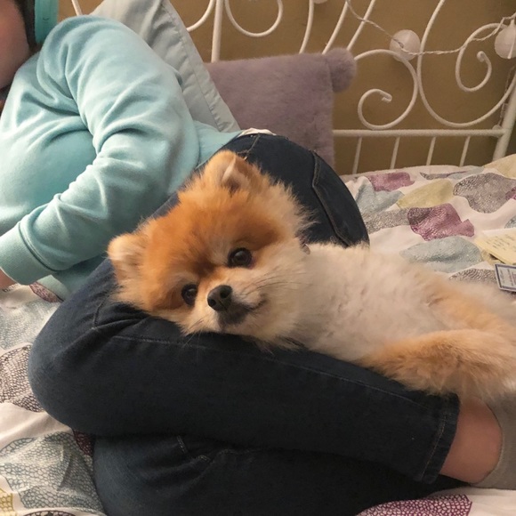 Meet your Posher, Julie - Picture 3 of 5